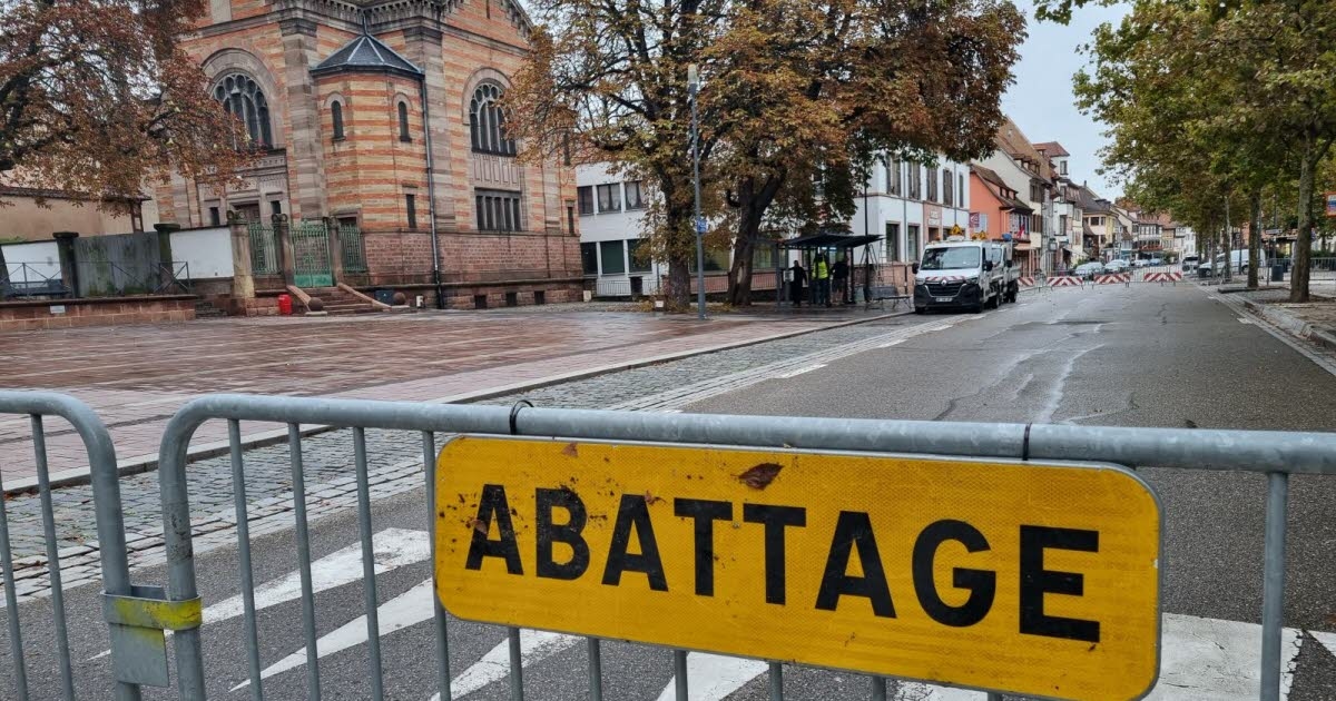 Sélestat: Einschränkungen auf dem Ehm-Platz nach dem Umsturz einer Kastanie