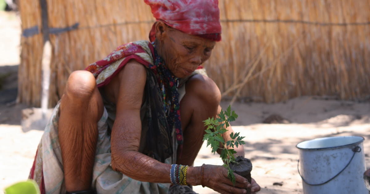 Oberhausbergen – Strasbourg. Root Peoples: a 4th forum and an off for “Being in Joy”, from September 14 to 28