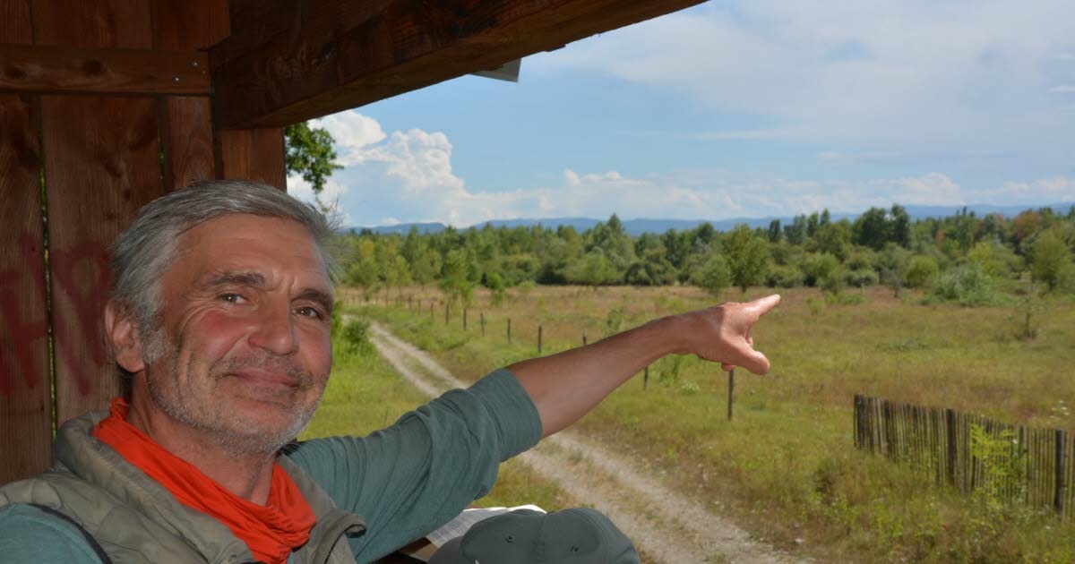 Wycieczki po Renie. Odkrywanie naturalnego piękna Małego Renu w Kembs
