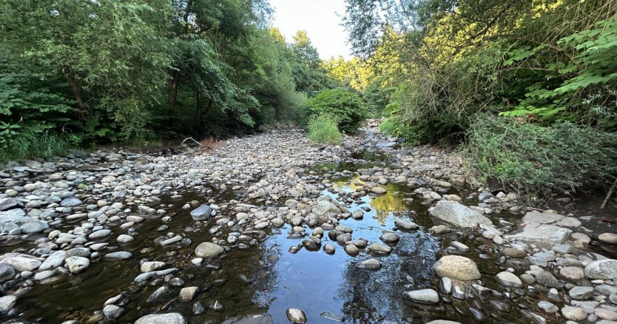 Dolina Munster. Fecht: susza, wątpliwy kolor i nieprzyjemny zapach