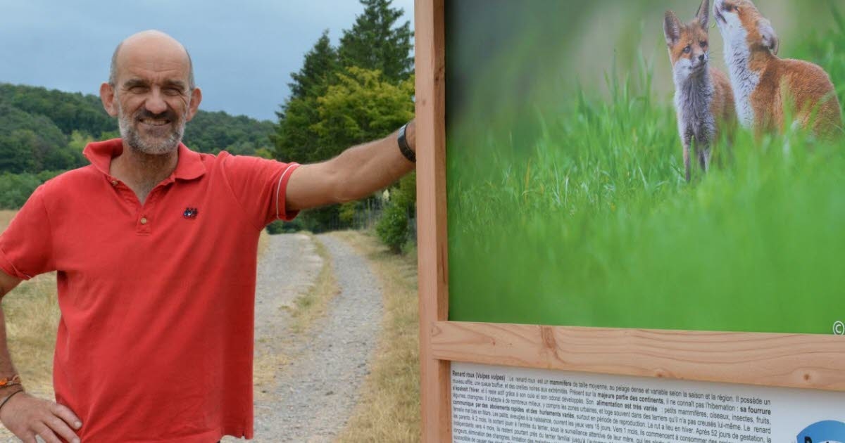 Gresswiller. Füchse, Eulen und Schmetterlinge: eine Fotoausstellung über diese verschwindende Natur