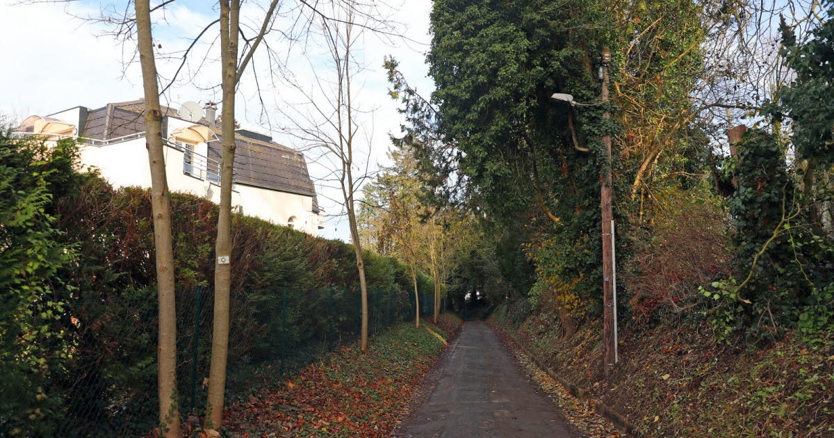 Mulhouse. Conferência: Tudo o que você precisa saber sobre sebes urbanas
