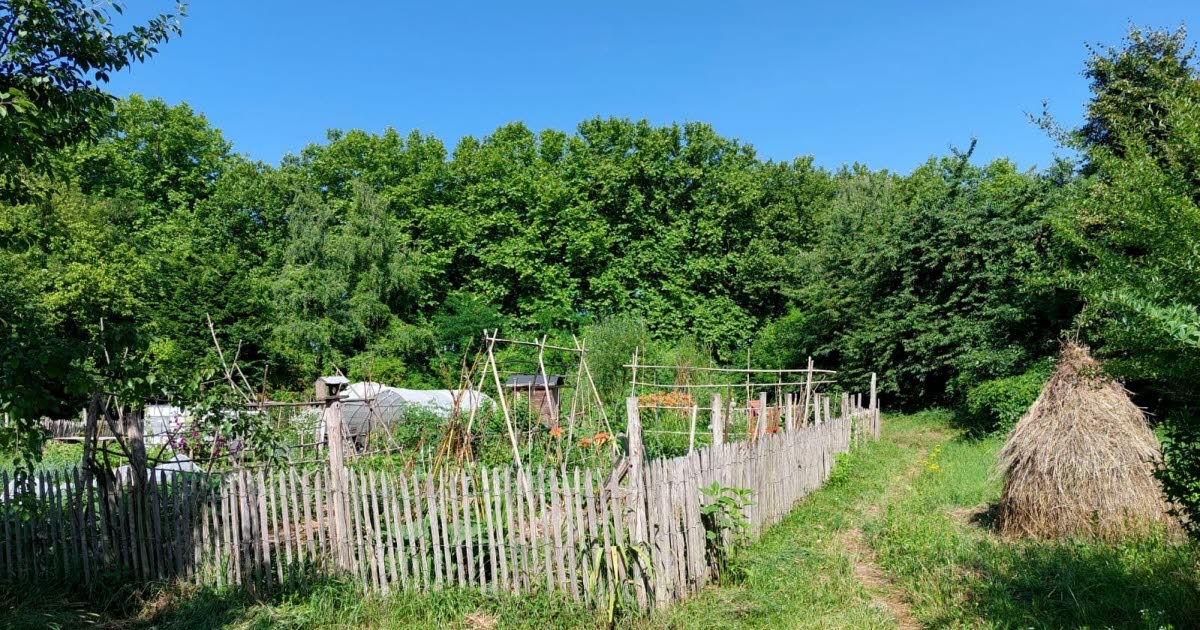 Eschau. The Parc aux Frênes shared garden celebrates summer