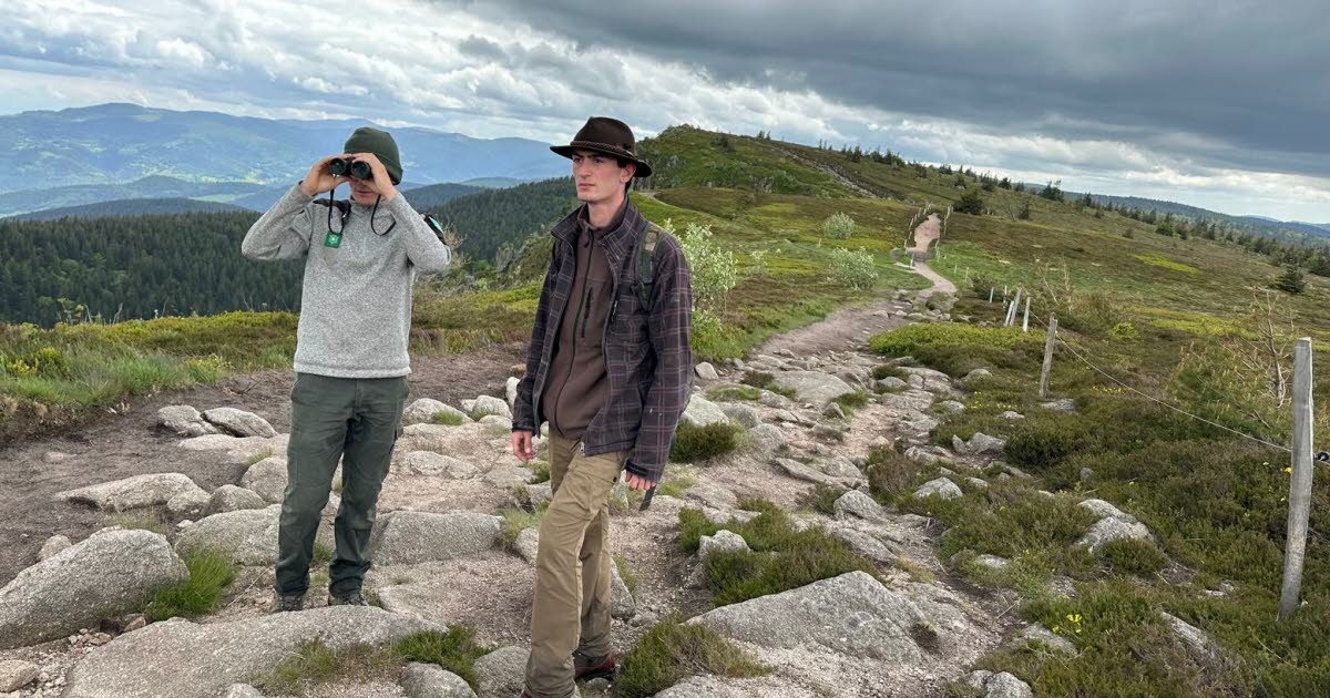 Montanhas dos Vosges. Controles regulares para preservar a reserva natural de Tanet-Gazon du Faing