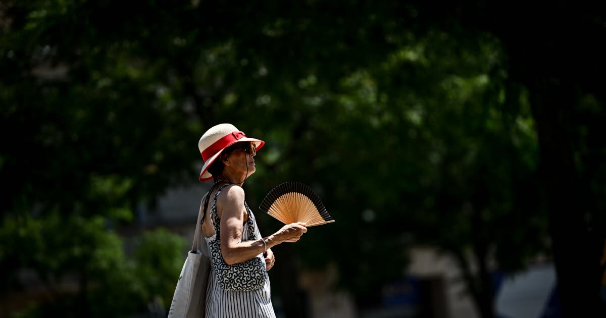 Weather. Heatwave: Corsica still on orange alert this Sunday and Monday