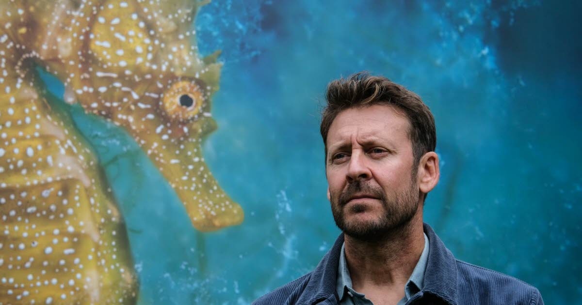 Entrevista dominical. Laurent Ballesta, fotógrafo: «No busco mostrar la belleza del mundo, sino sus misterios».