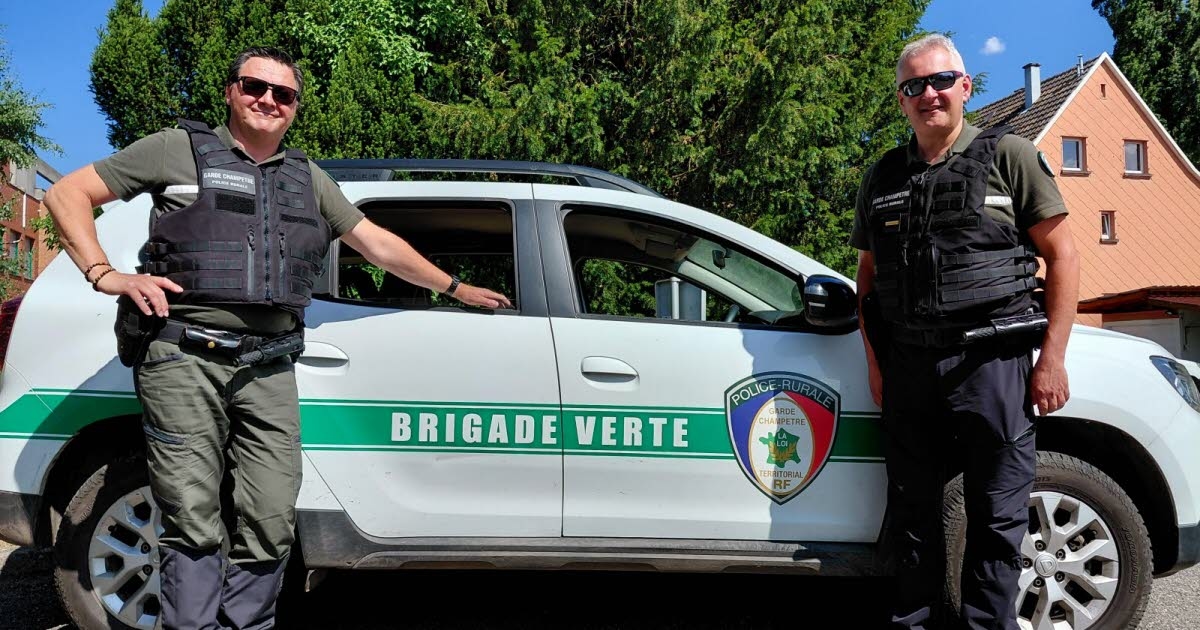 Munster. Prevención, seguridad: la brigada verde en todos los frentes este verano.