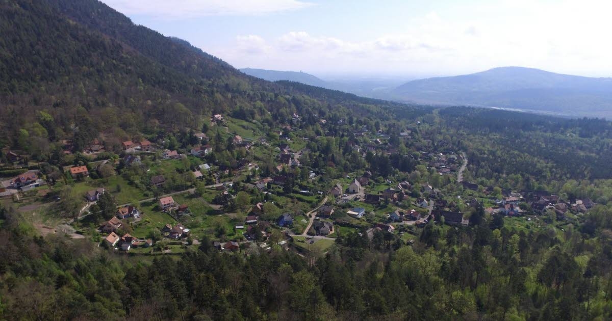 La Vancelle. Bu Cuma orman masifinin zorlukları üzerine bir tartışma akşamı.