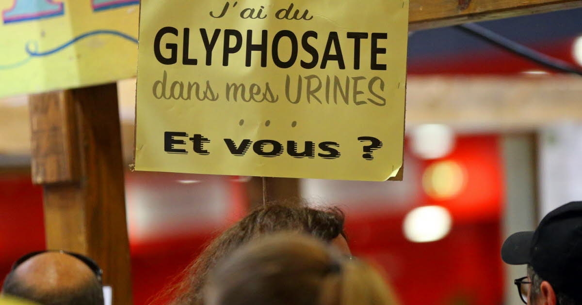 Ley Duplomb: Eco Bio Alsace escribe a los diputados y denuncia los "efectos nocivos para la salud" de los pesticidas.