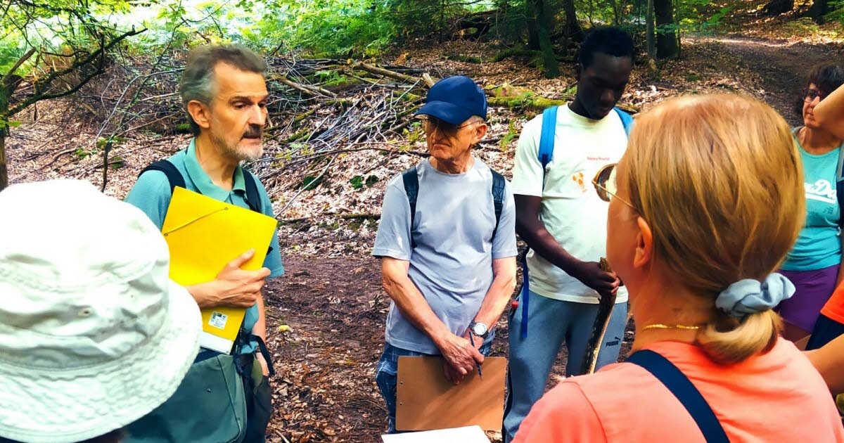 Wissembourg. Follow in the footsteps of the lynx during a nature outing in the Northern Vosges