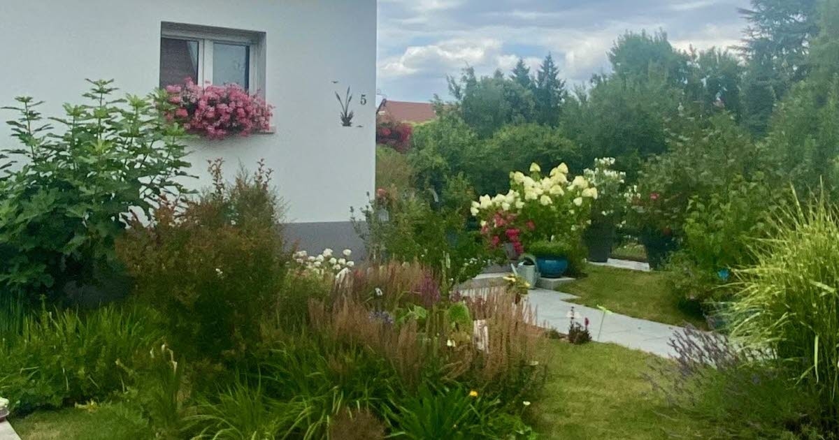 Lipsheim. Floração: os vencedores