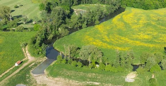 Harskirchen: Antigua laguna de depuración transformada en un refugio para la vida silvestre