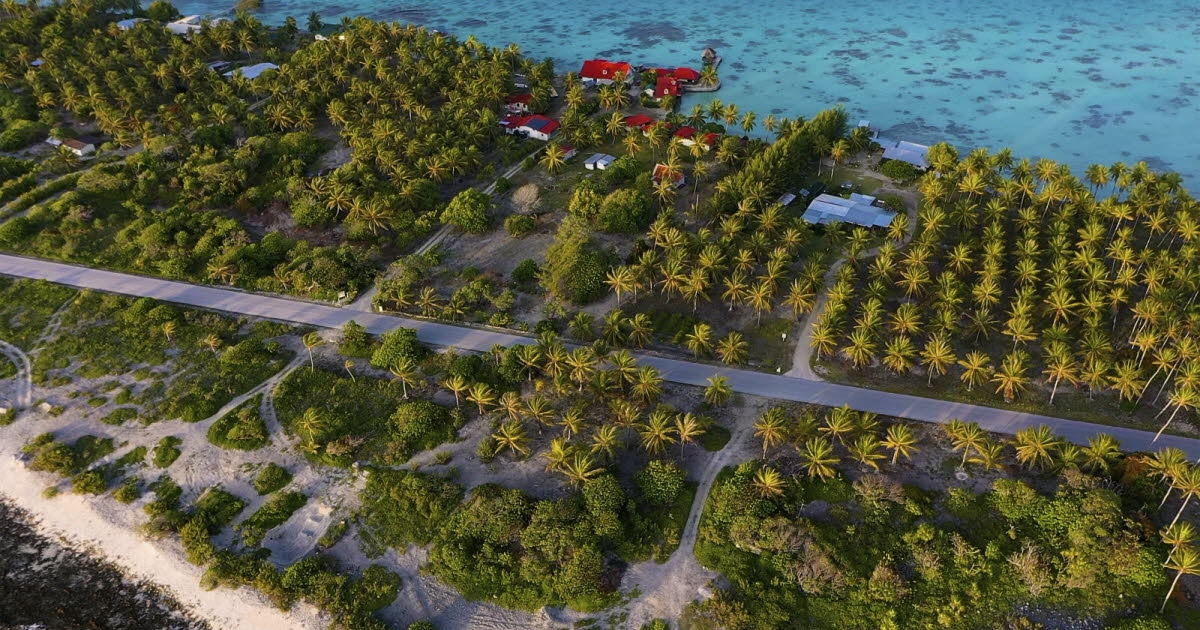 Live. Tsunami warnings in the Pacific: Waves could reach 4 meters in French Polynesia