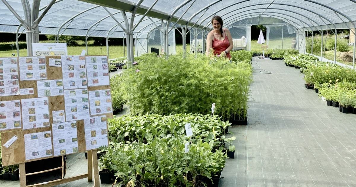 Saint-Vallier. Clémentine Lardet si lancia nella produzione di sementi biologiche