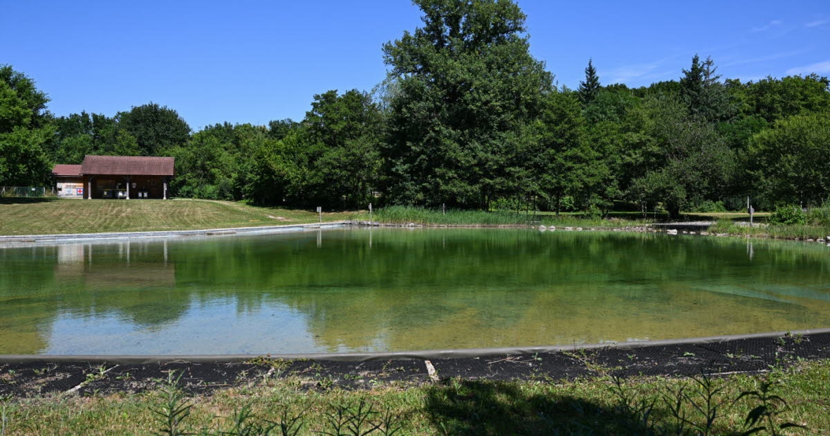 Bresse. Kirlenmiş olan La Chapelle-Saint-Sauveur yüzme havuzu bu Cuma gününden itibaren halka kapatılacak.