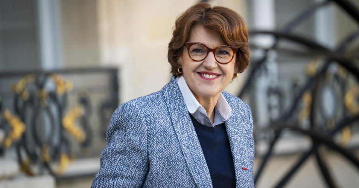 Saône-et-Loire: The Minister of Agriculture "intervened directly" to have an injured wolf put down