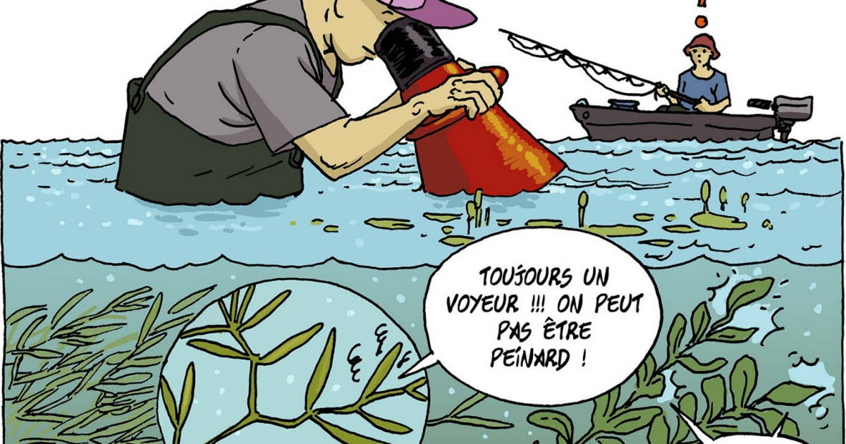 Nature. Fishing for aquatic plants