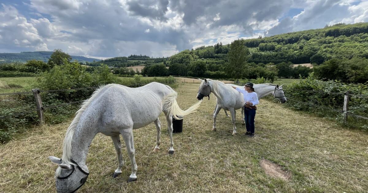 Cussy-en-Morvan. “I wouldn’t go back to my old life for anything in the world”: Christine Brière takes travelers through time