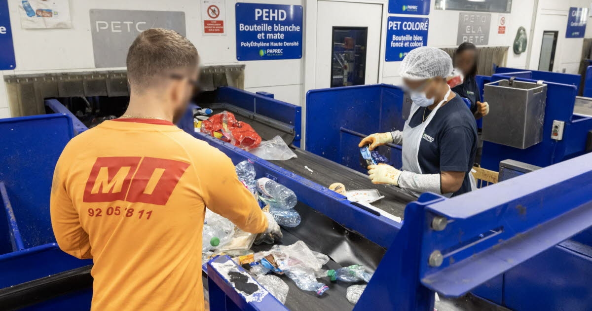Geri dönüşüm. Peki sarı çöp kutularına atılan plastik ambalajlara ne oluyor?