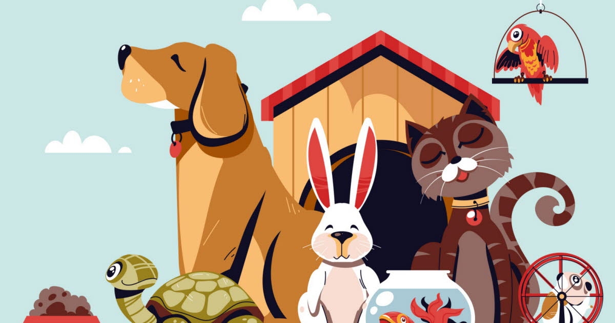 Infographic. Here we take action: focus on animal welfare