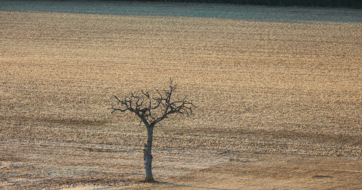 Medio ambiente. Servicios públicos y cambio climático: «Para 2050, será demasiado tarde para actuar».
