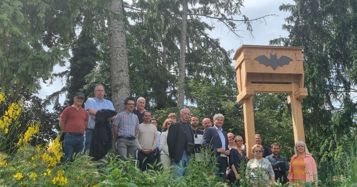 Chalon-sur-Saône. Mosquito control: Chalon relies on natural predators