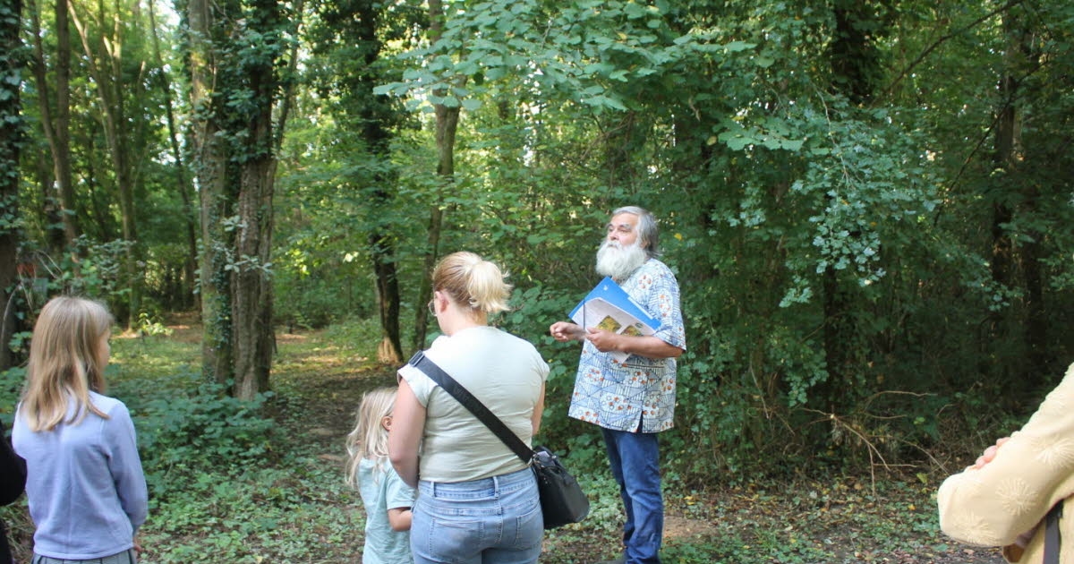 Virey-le-Grand. El apicultor Yves Rondelet ofreció una visita al apiparque, un espacio natural dedicado a la preservación de las abejas.