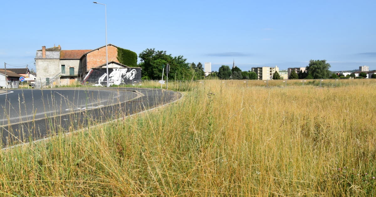 Mâcon. Jardins de Cocagne'nin taşınması: Derneğe ev sahipliği yapmak üzere Replonges'te hedeflenen bir arazi parçası