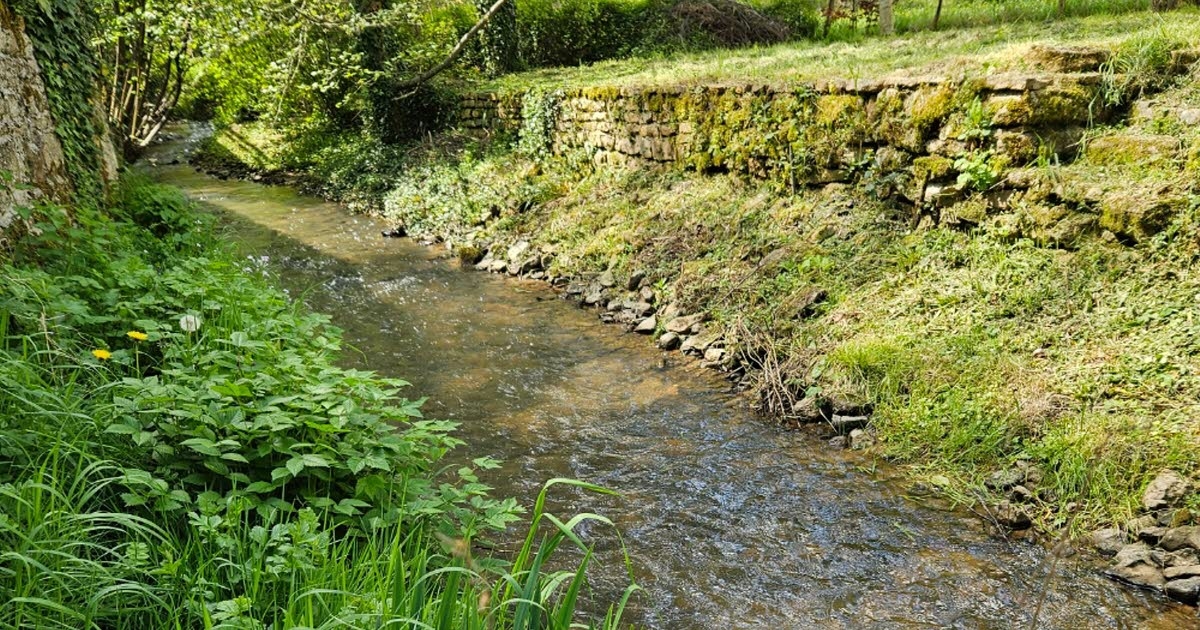 Saint-Point: Public workshops organized on wetland management