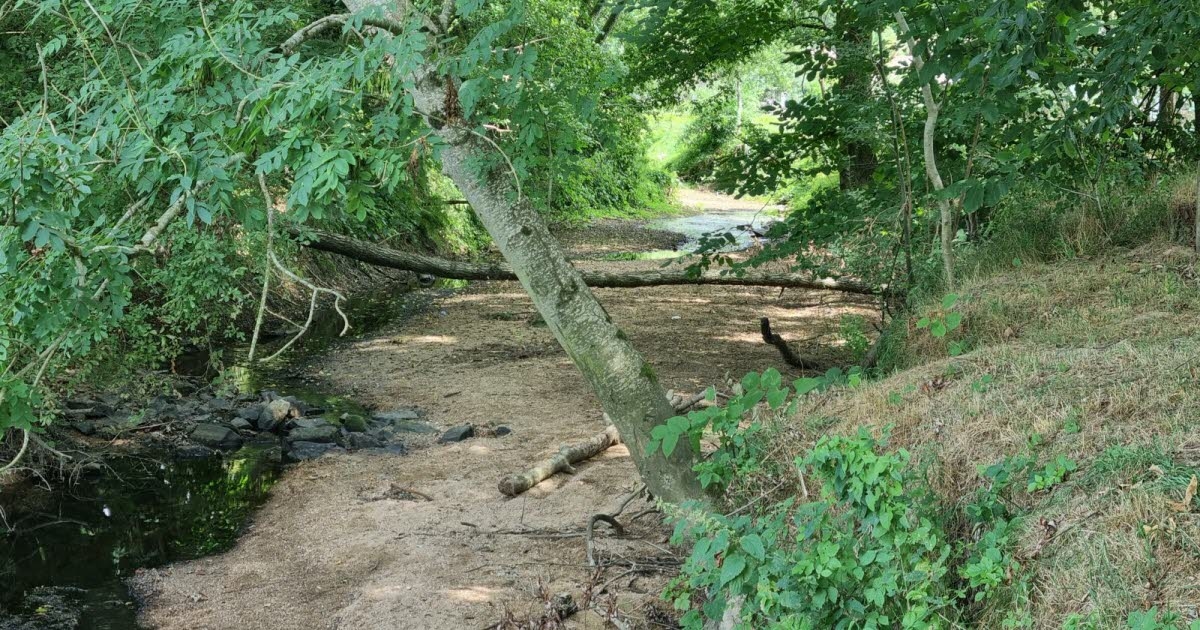 Saône-et-Loire. Dürre: 20 % Niederschlagsdefizit, aber keine neuen Einschränkungen