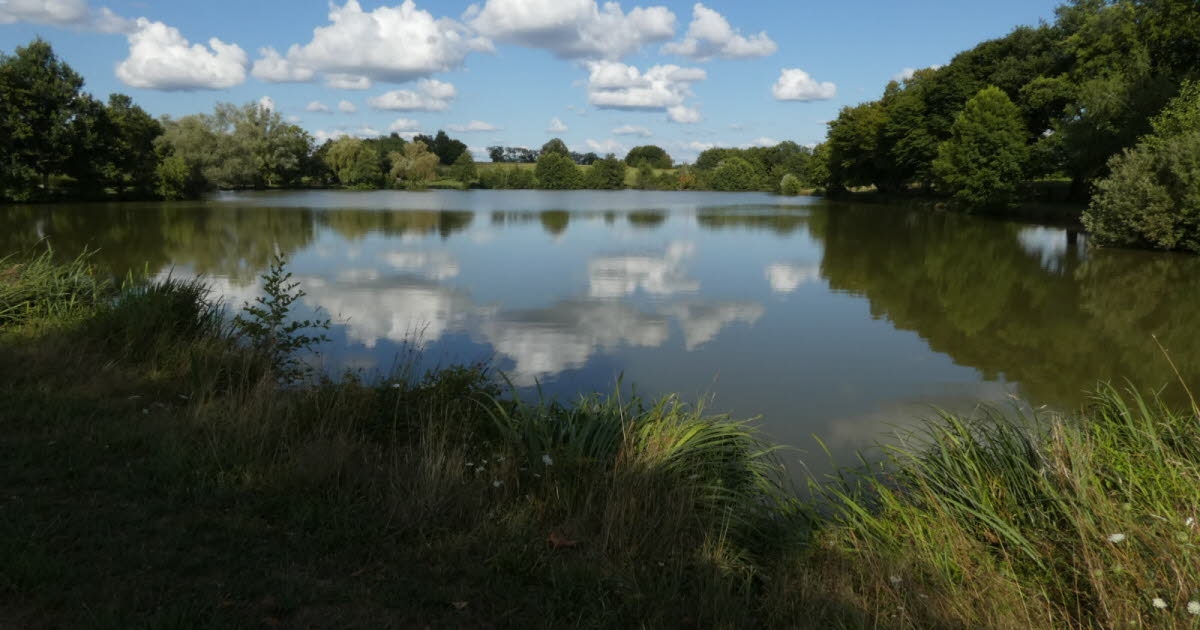 Saillenard. Estanque de Chanceveau, un remanso de paz y tranquilidad.