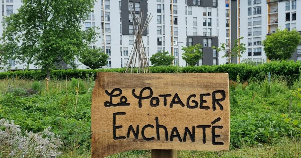 Saône-et-Loire. „Natur kann überall wachsen“: Le Bois Gourmand, eine ehemalige Brache, trägt seine ersten Früchte