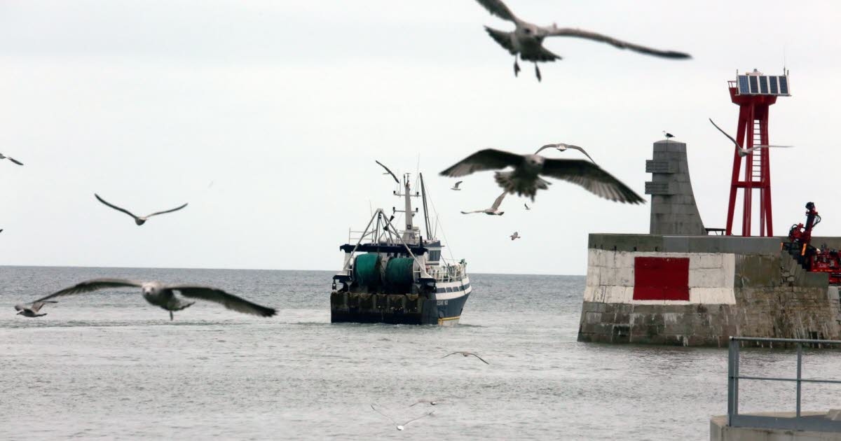 Miércoles. "En consulta con los pescadores", Macron limitará las zonas donde se permite la pesca de arrastre de fondo.