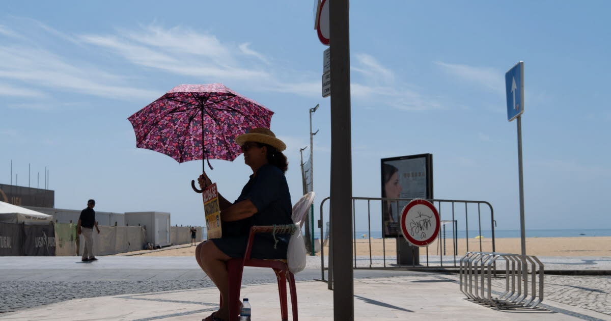 Clima. "Podemos chegar aos 50°C": O verão "normal" de 2050 será escaldante