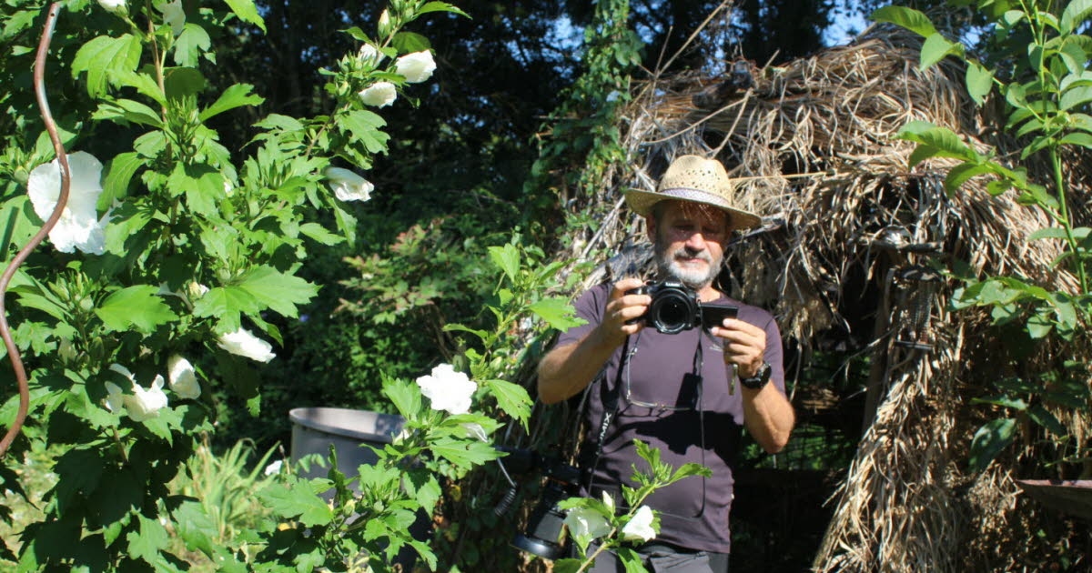 La Roche-Vineuse. Jean-Louis Lovisa fotografía insectos y aves en su jardín paradisíaco.