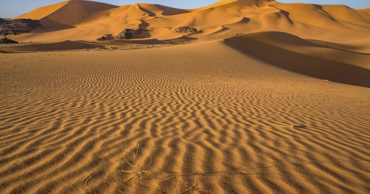 Planeet. "Een veelzijdige ruimte": een boek om beter te begrijpen wat de woestijn werkelijk is