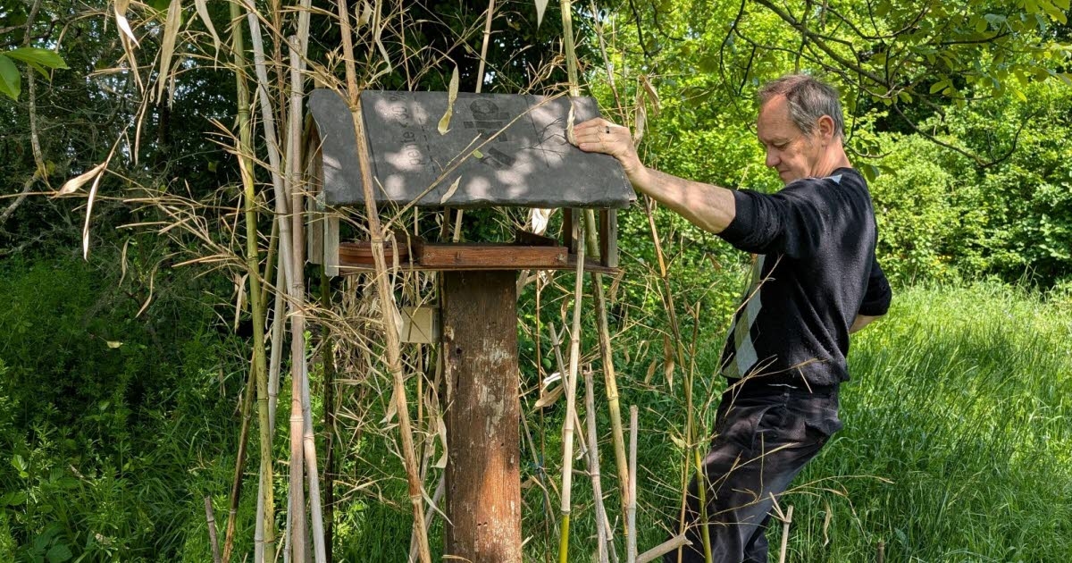 Malay: For 20 years, a couple has been recreating a paradise for flora and fauna