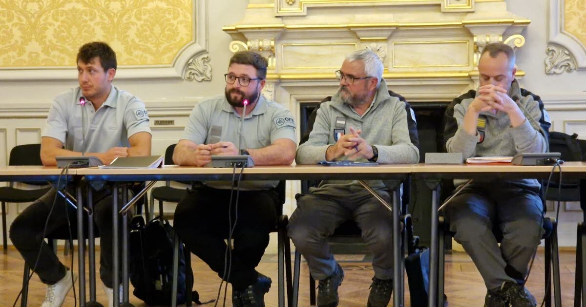 Saône-et-Loire. Wolf: Surveillance posts maintained all week