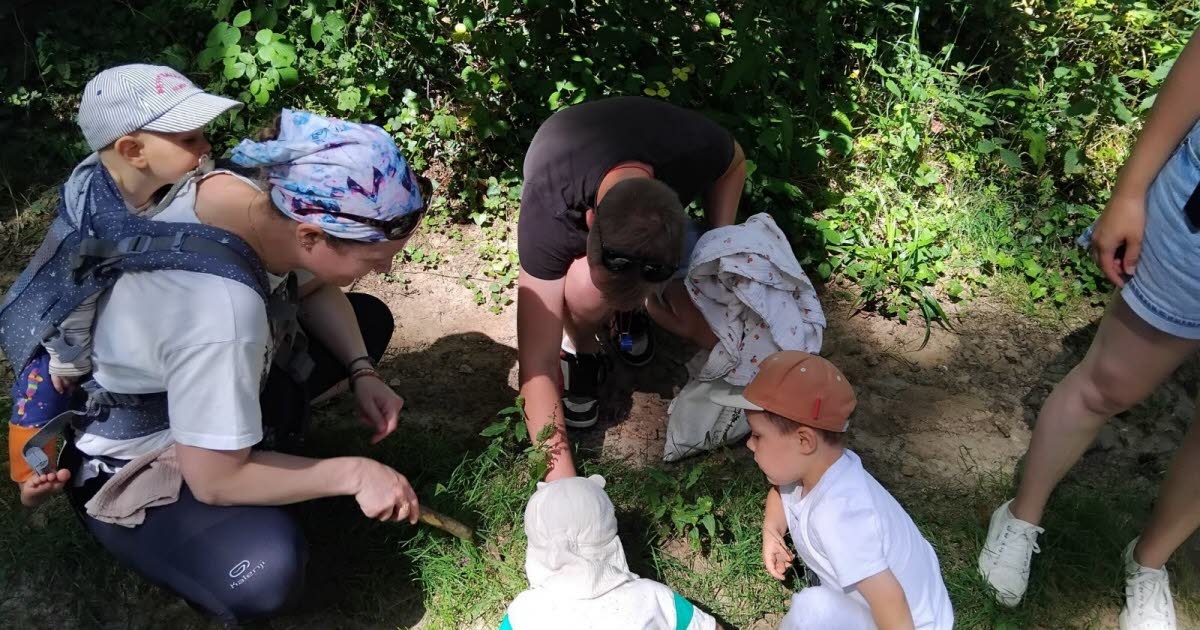 La Vineuse sur Fregande. Ein Familienausflug, um den Wald zu entdecken