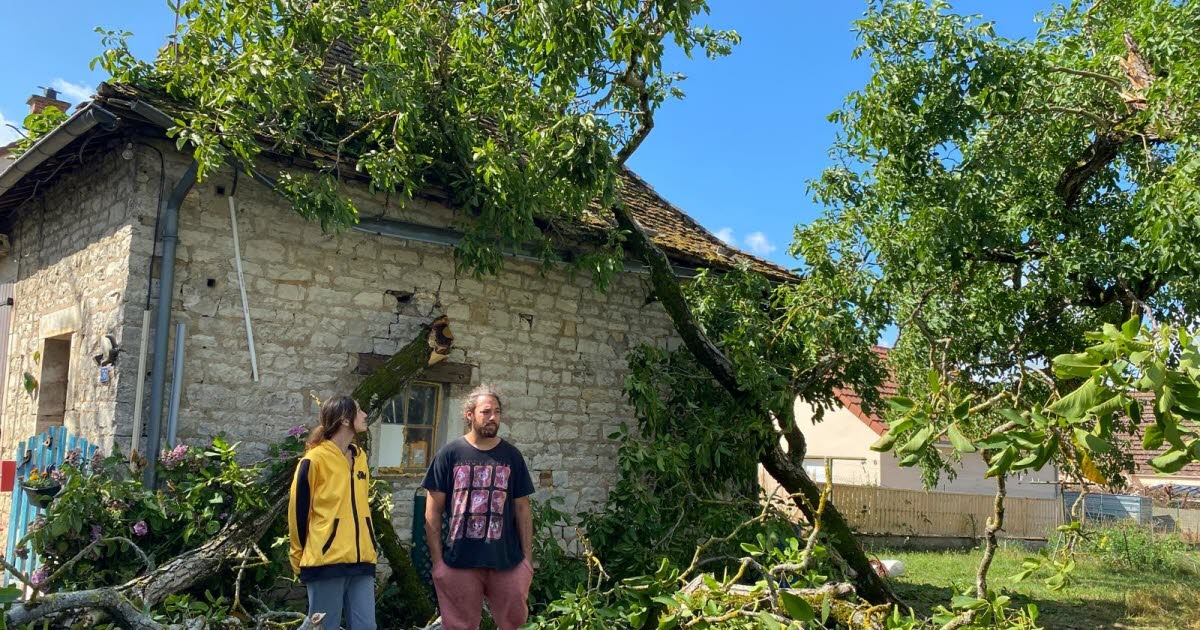 Saône-et-Loire. Micro-burst: homes still without power, poles down, Laives lake closed... the day after