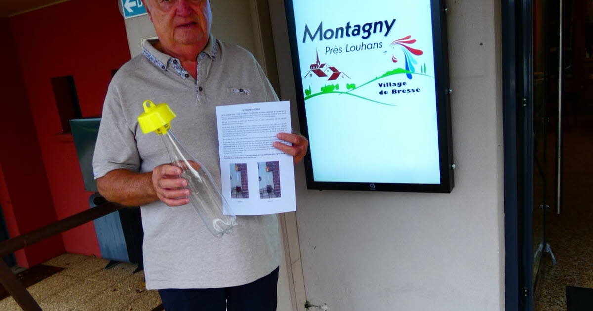 Montagny-près-Louhans. Korek do walki z azjatyckim szerszeniem