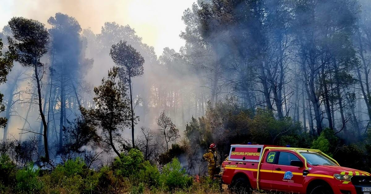 In Bildern. Der Brand in Aude aus der Sicht unseres Sonderkorrespondenten