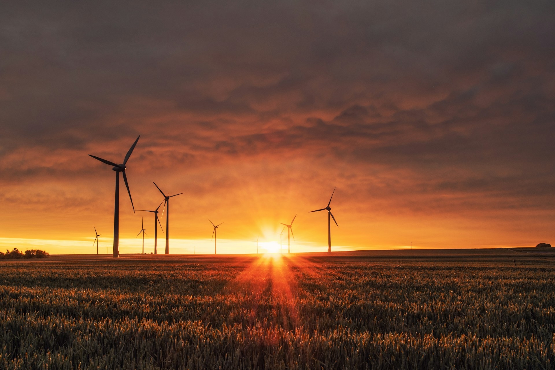 Slovenia approves new draft renewable energy law