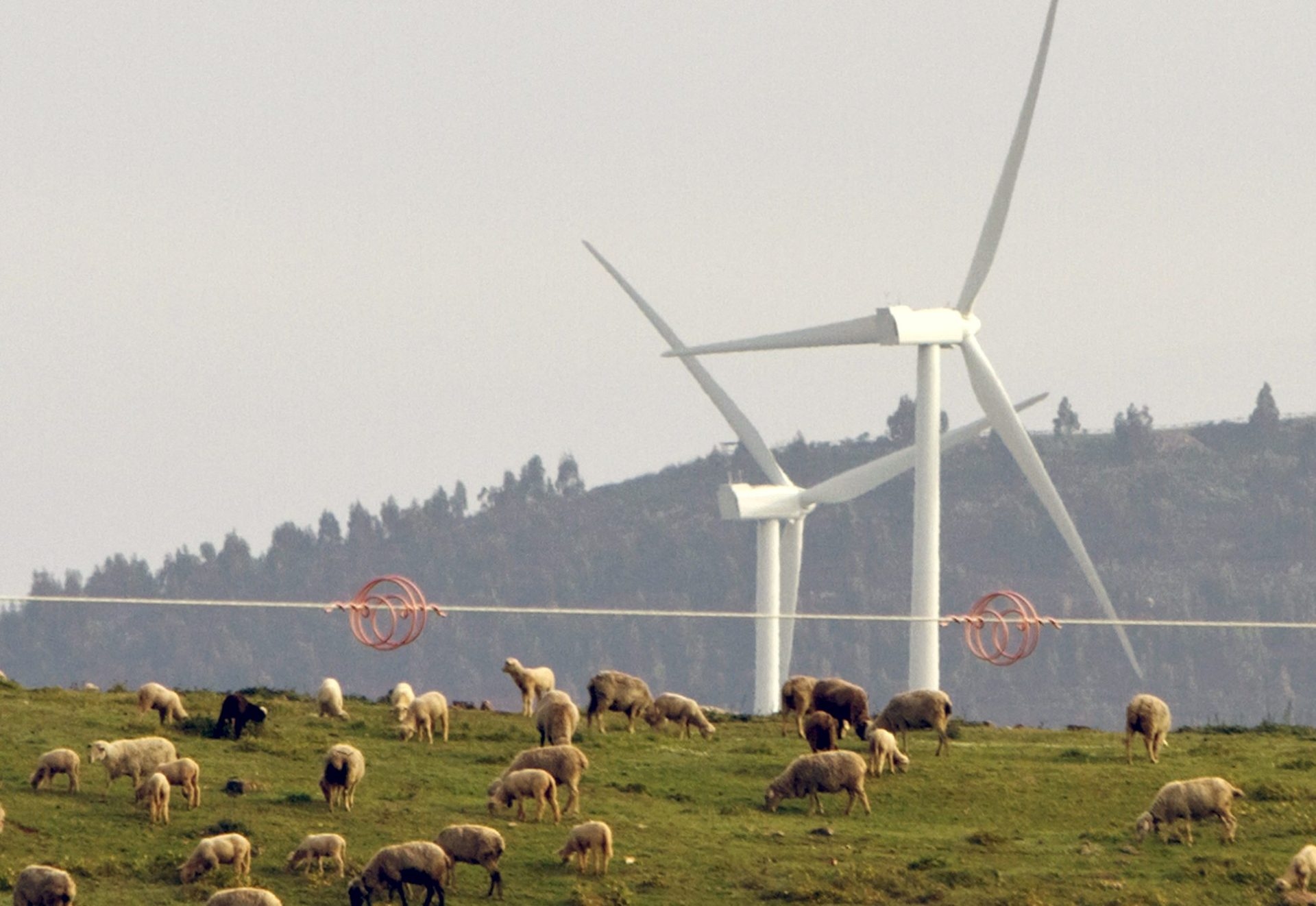 Iberdrola und FCC starten EnergyLOOP zum Recycling stillgelegter Windturbinenblätter.
