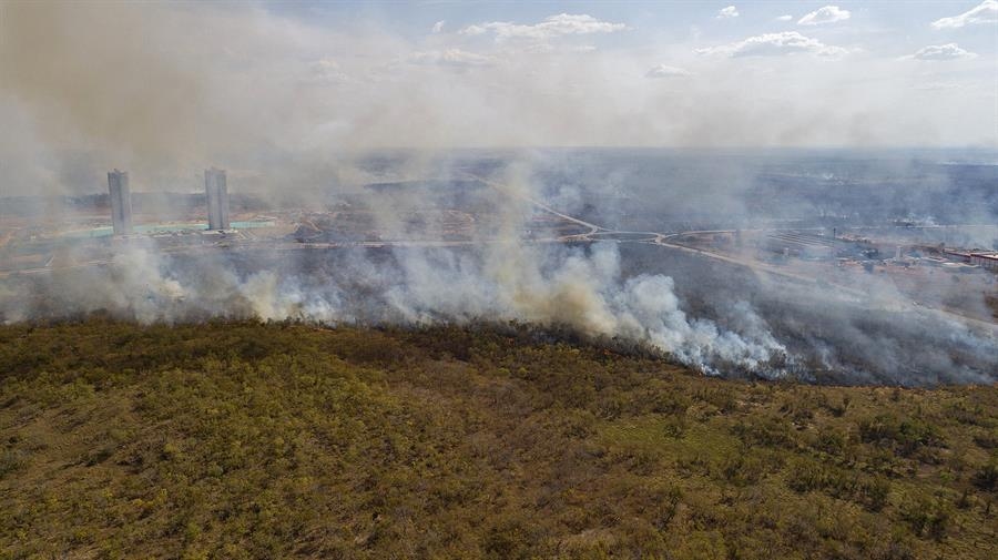 Nel 2024, l'Amazzonia brasiliana ha registrato la più grande area bruciata degli ultimi quarant'anni.