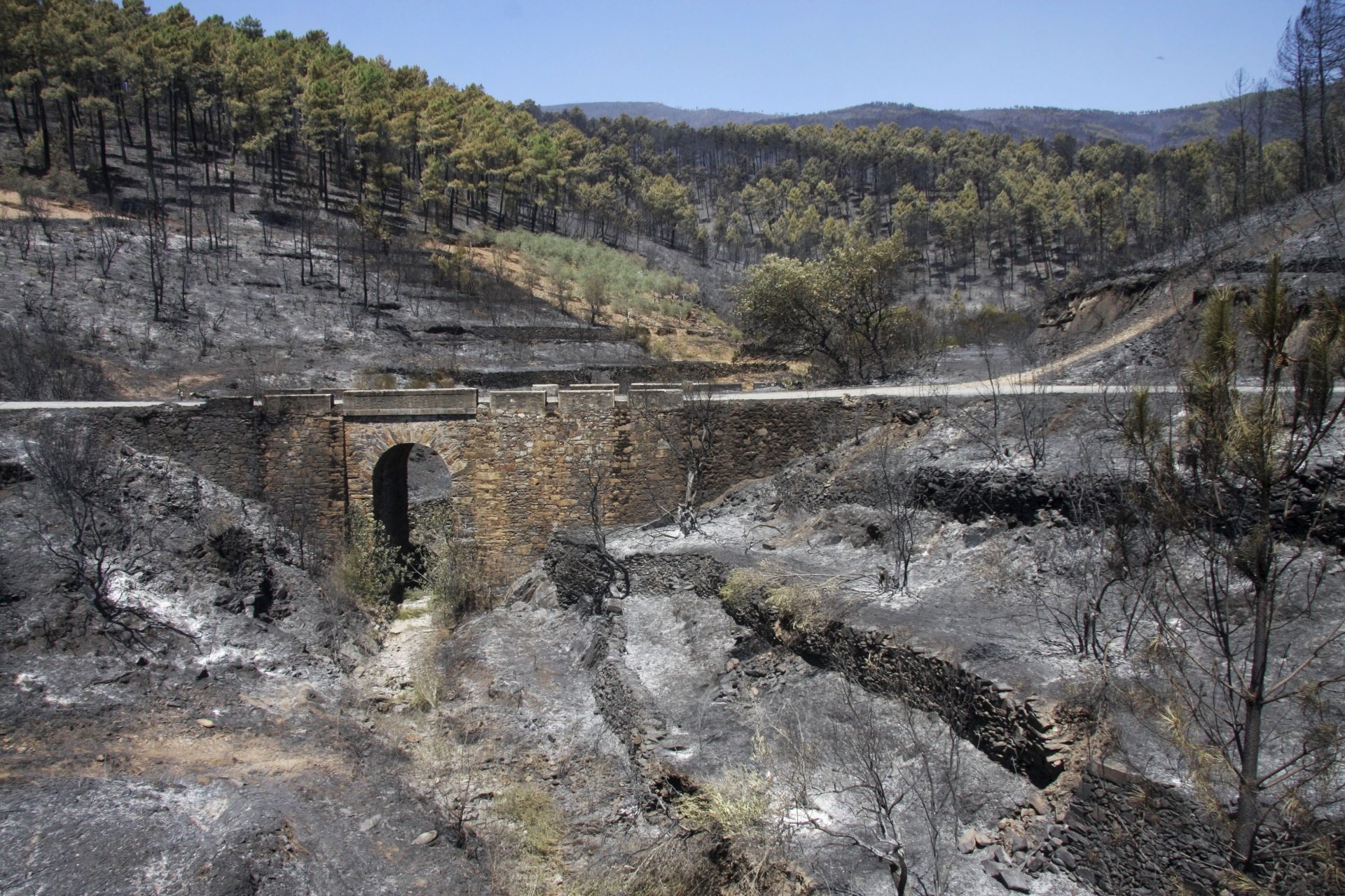 Extremadura prepares for a difficult summer due to the high risk of forest fires.