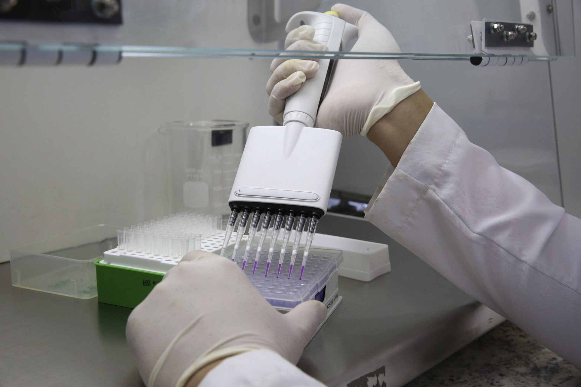 Od laboratoriów do życia codziennego: jak promować społeczne przywłaszczenie nauki w Ameryce Łacińskiej. Autor: Mariano Jabonero (Sekretarz Generalny OEI)