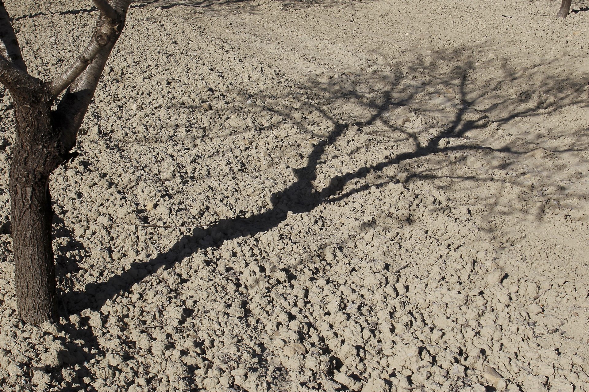 A superexploração da água e as mudanças climáticas estão causando a desertificação na Espanha.