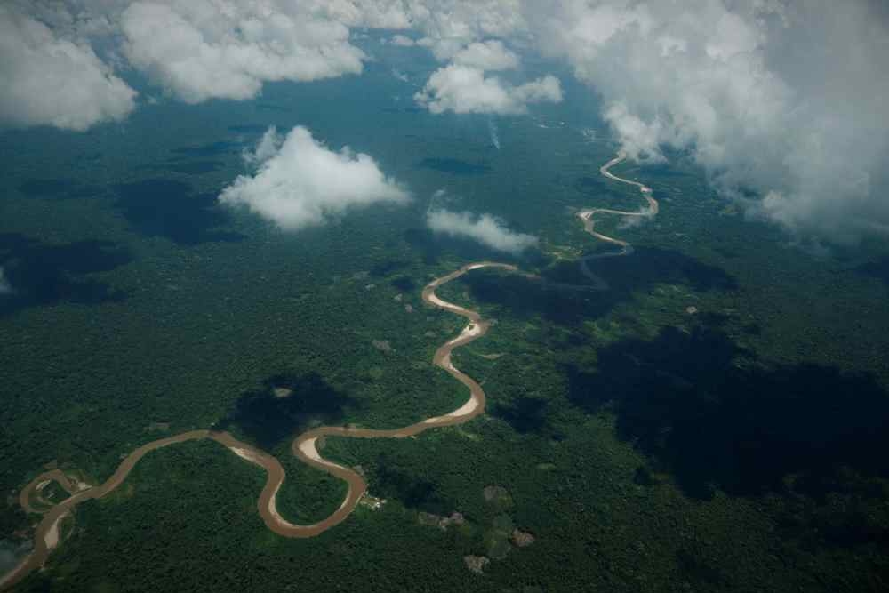 Peru lost 4 million hectares of natural vegetation in 40 years, according to a study.