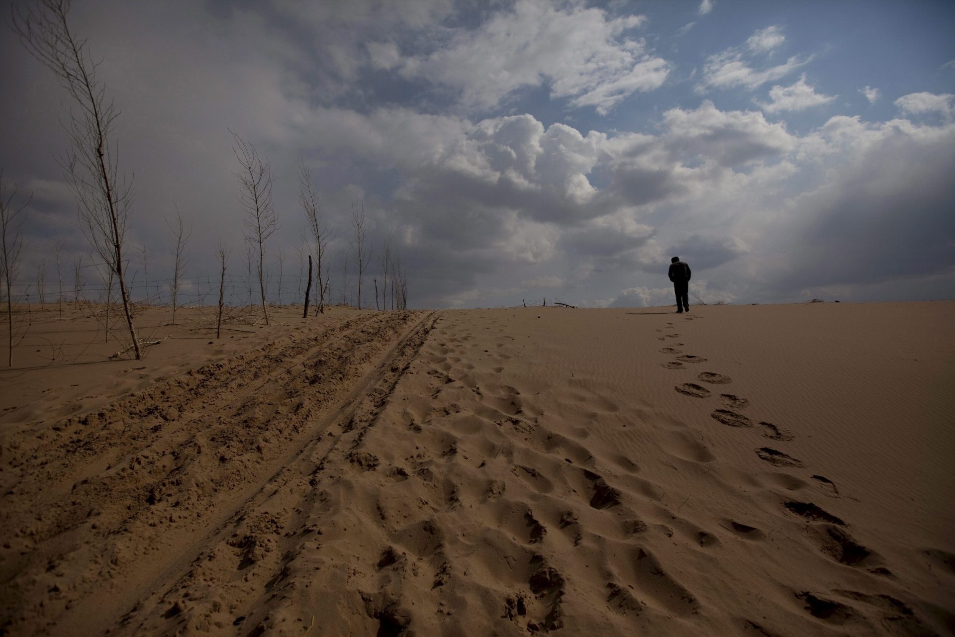 Cientista-chefe da ONU sobre desertificação pede interrupção da degradação da terra